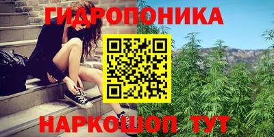 гидра Донецк