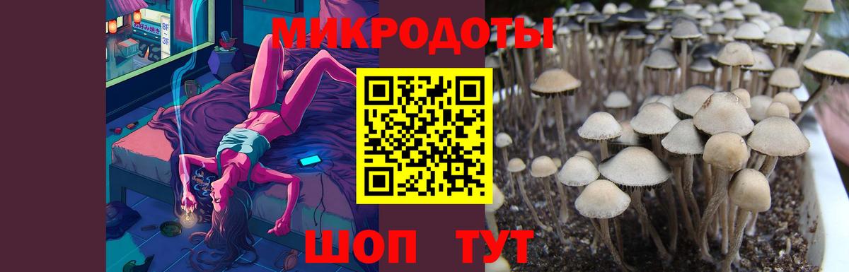 Шелехов  Галлюциногенные грибы прущие грибы  Галлюциногенные грибы Psilocybine cubensis  Вход с VPN 